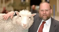 Druhý život: je možné klonovať domáce zviera doma